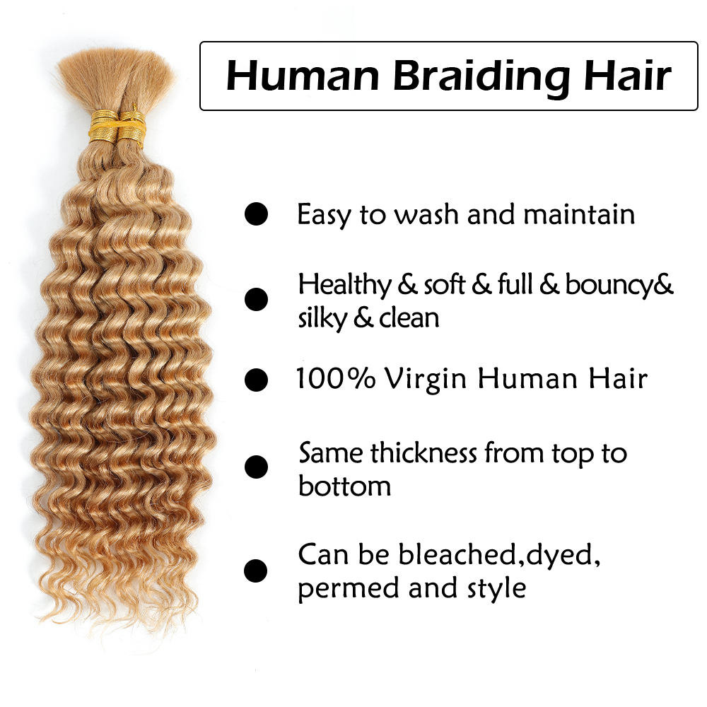 Human Braiding Hair 2Bundle 10 - Hair Care Color ulasan dan harga